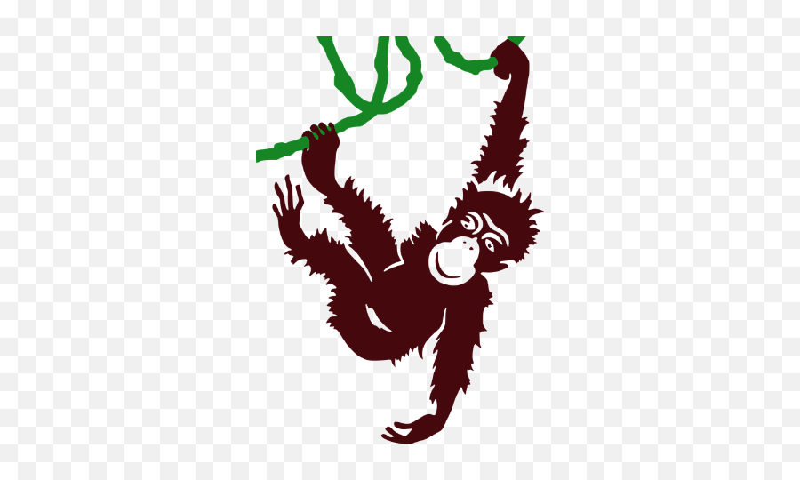 Monkey - Who In The Zoo,Vine Png