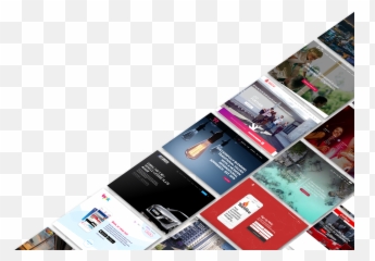 Piranha Designs Website Pdg - Portfolio Png