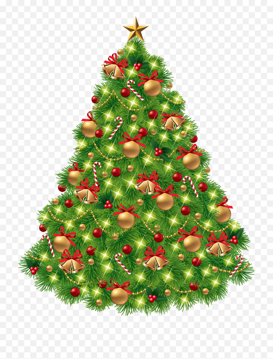 Christmas Fir - Free Christmas Tree Png,Christmas Backgrounds Png