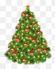 Christmas Fir - Free Tree Png