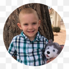 Camden Lamb Ballsfest - Polar Bear Png,Lamb Png