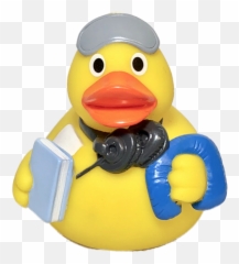 Frequent Travler Rubber Duck Ducks In The Window Png Ducky Transparent Background