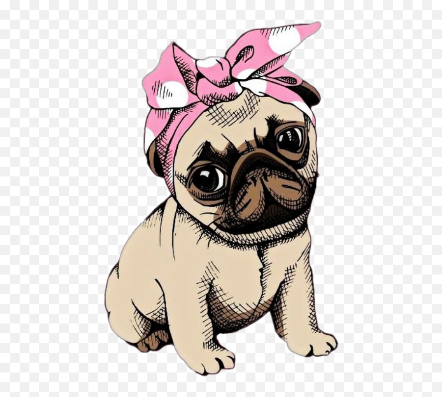 Stikers Pug Png Sticker - Pug Png,Pug Png