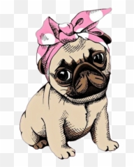 Stikers Pug Png Sticker - Pug Png,Pug Png