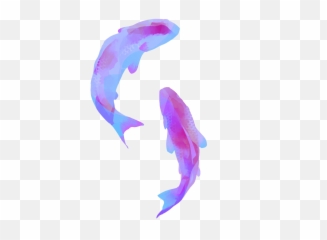Aesthetic Transparent Png Clipart