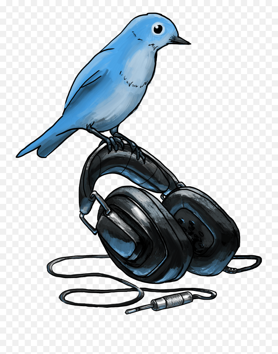 Cheepbeatscom - Mountain Bluebird Png,Tiny Png