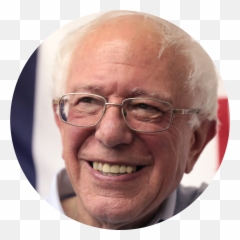 Bernie Sanders Circle Paaia - Reasons Not To Vote For Biden Png,Bernie Png