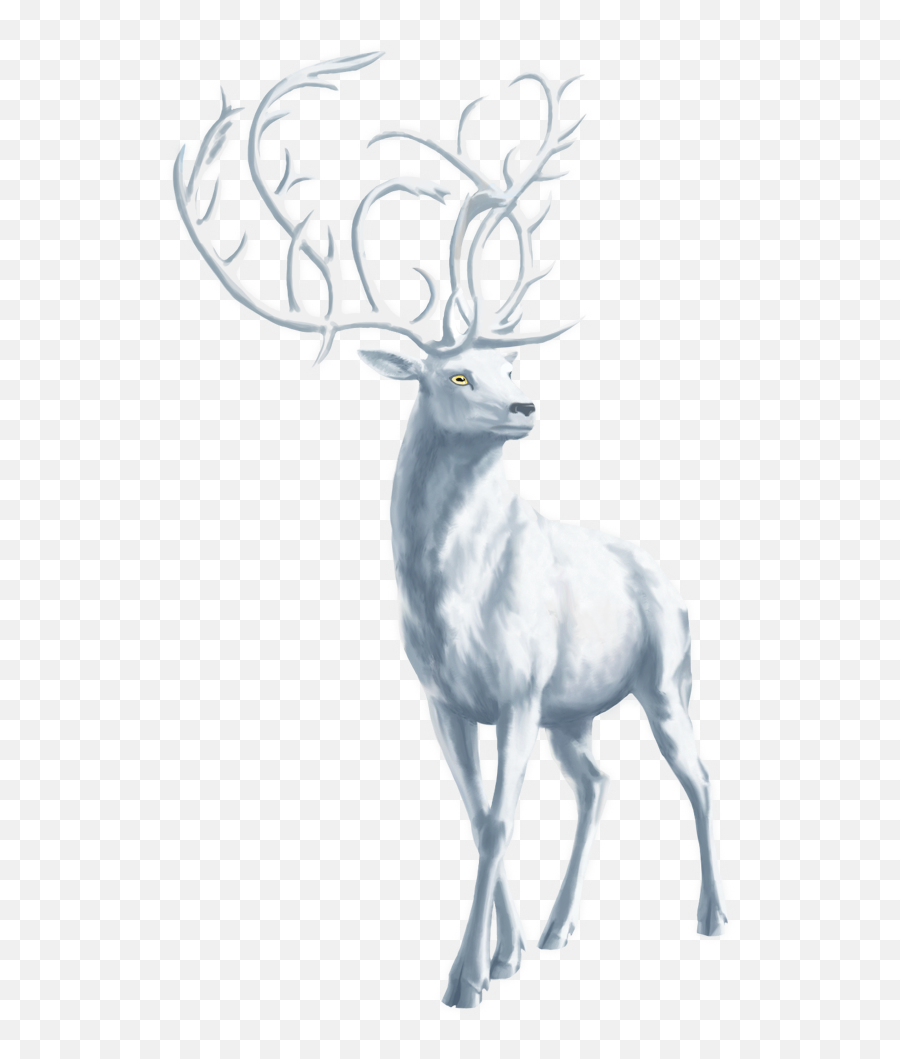 Download Stag Transparent Background Png - White Drawing White Elk,Deer Transparent Background