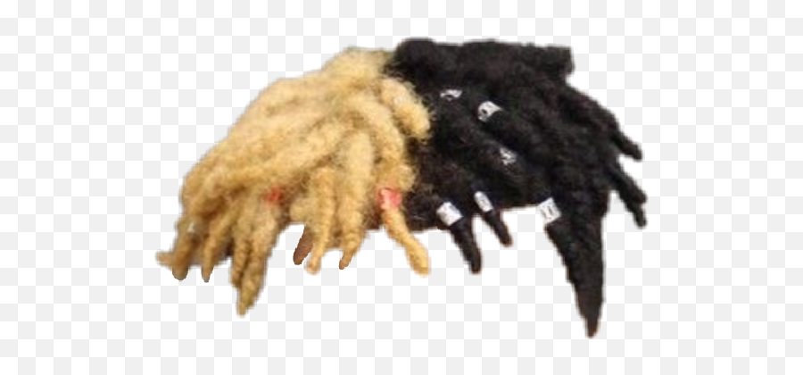 Xxxtentacion Hair - Xxxtentacion Face Transparent Background Png,Xxxtentacion Png