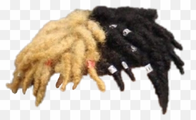 Xxxtentacion Hair - Face Transparent Background png