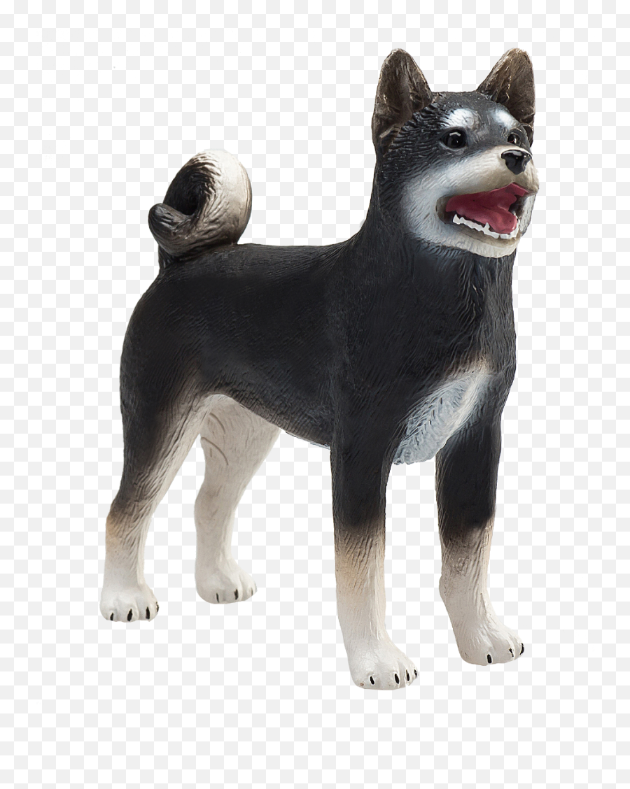 Shiba Inu Black New For 2019 The Ddz Store - Your One Stop Shiba Inu Black Png,Shiba Inu Png