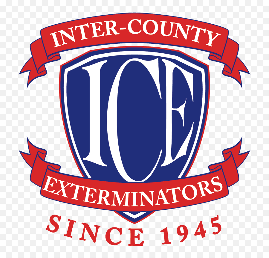 Download Inter County Exterminator Logo - Clip Art Png,Meme Logo