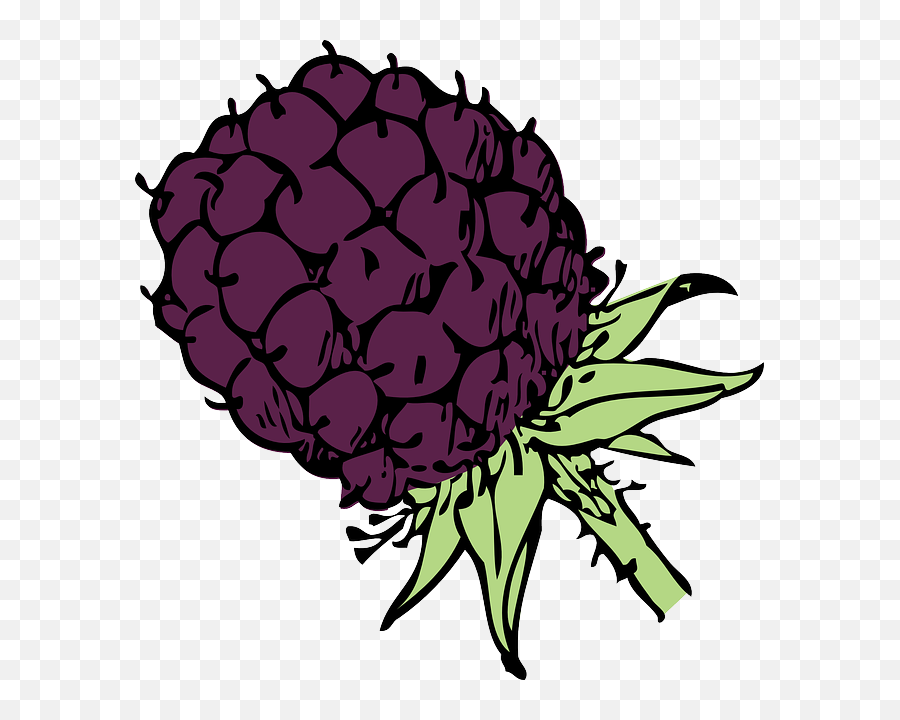 Blackberry Clip Art - Blackberry Clip Art Png,Blackberries Png