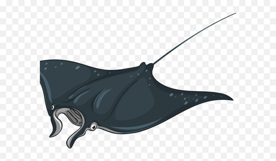 Stingray Clipart Png