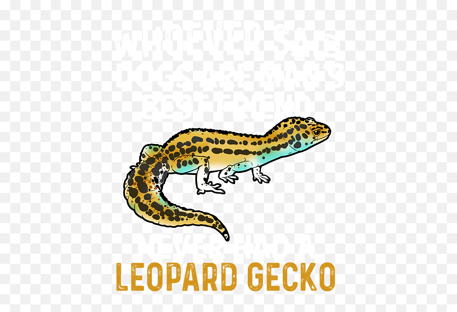 Leopard Gecko Pet Lizard Mans Best - Animal Figure Png,Leopard Gecko Png