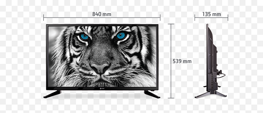 Estar Enjoy Today Tvs - Your Tagline Here Black And White Tiger Png,32 Degrees Icon Led