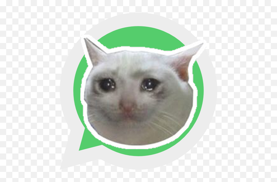 Sad Cat Stickers - Wastickerapps Wholesome Memes To Send To Friends Png,Sad Cat Png