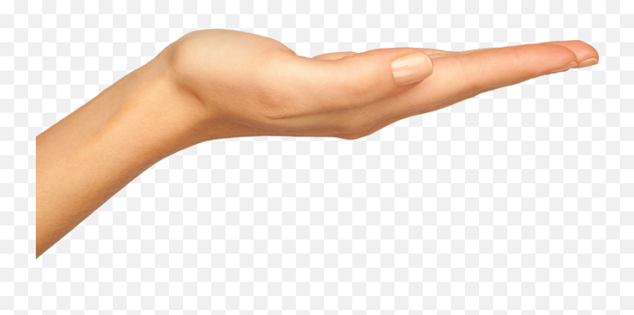 Hands Png Hand Image Free - Hand Holding Something Png,Hand Holding Png