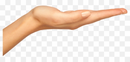 Hands Png Image Free - Holding Something