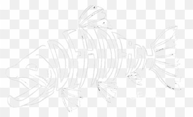 Home - Coral Reef Fish Png,Dead Fish Png