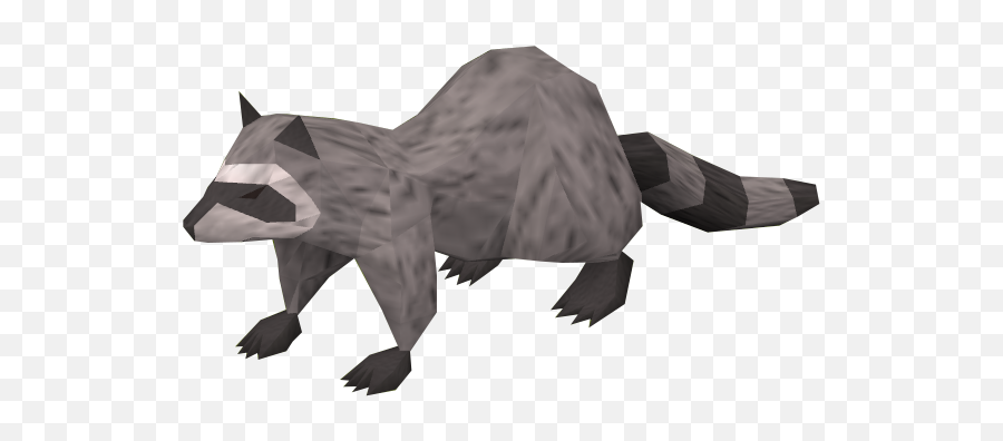 Raccoon Npc - The Runescape Wiki Runescape Raccoon Png,Raccoon Png