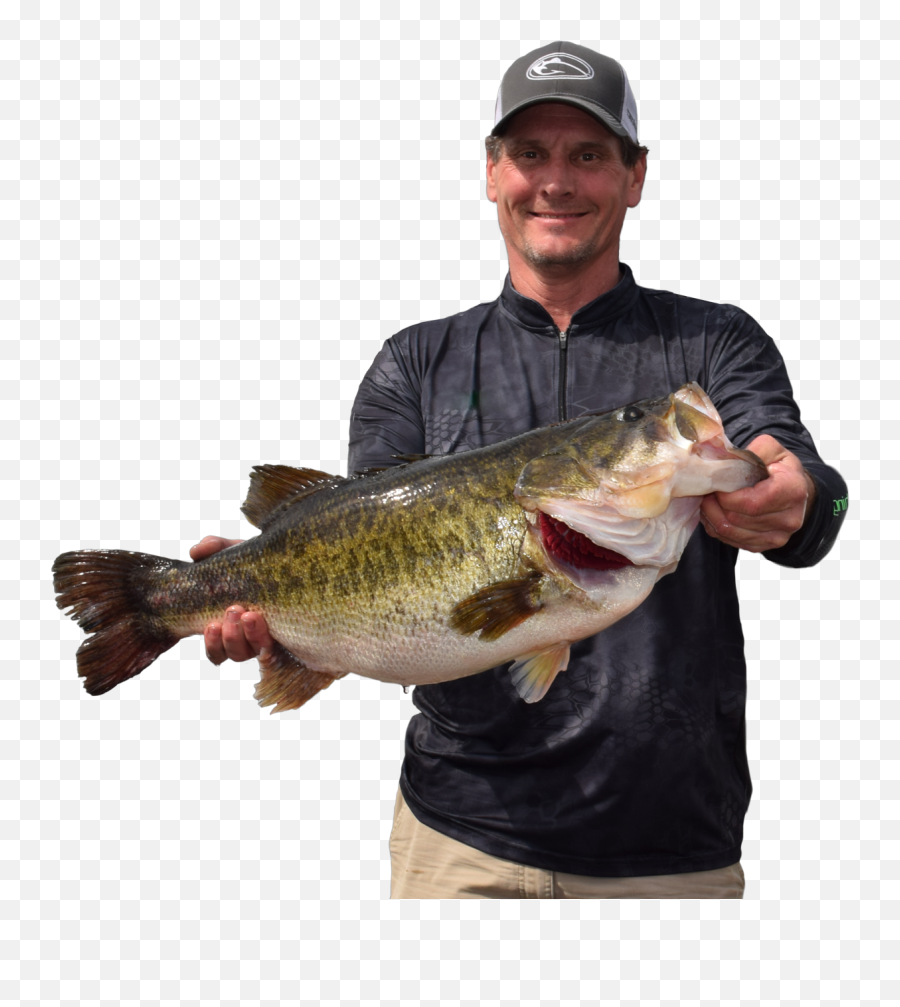 Toyota Sharelunker Texas Parks And Wildlife - Texas Sharelunker Sharelunker 2020 Png,Bass Fish Png
