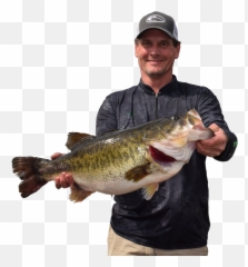 Toyota Sharelunker Texas Parks And Wildlife - Texas Sharelunker Sharelunker 2020 Png,Bass Fish Png