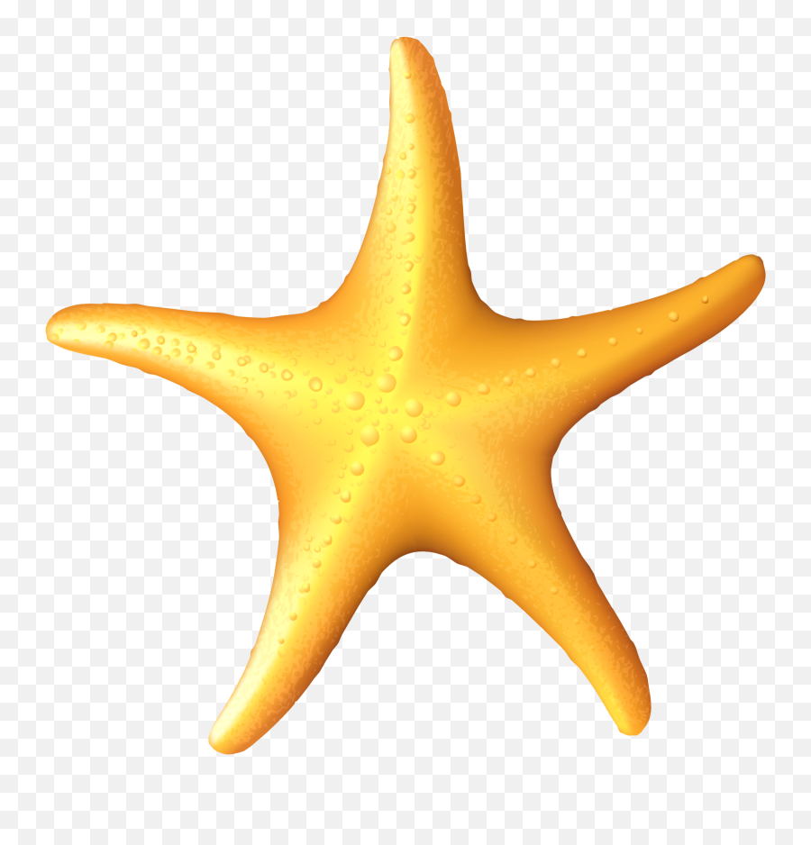 Download Sea Star Clipart - Starfish Png Image With No Sea Star Clipart Png,Star Clipart Transparent