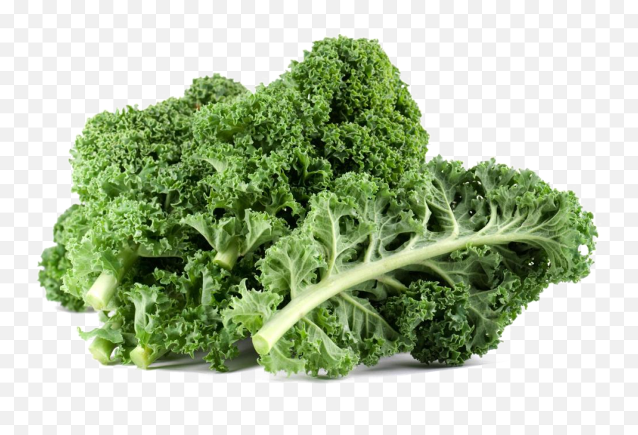 Png Free Download For Designing Project - Transparent Background Kale Png,Kale Png