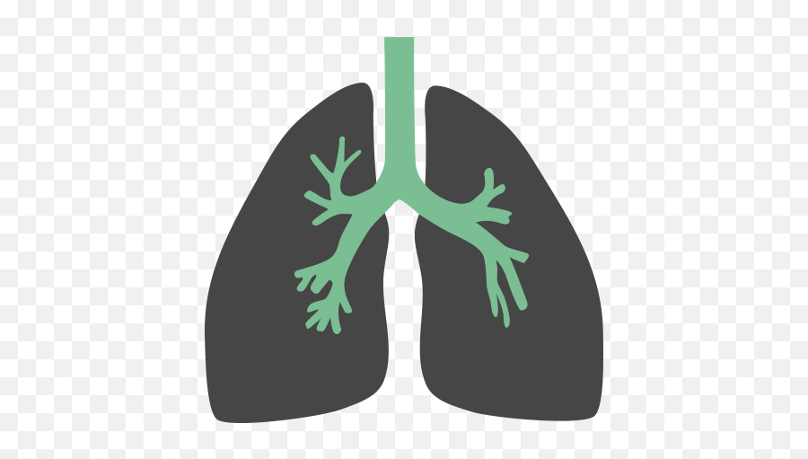 Lungs Flat Icon Png - Lungs Flat Design Png,Lungs Png