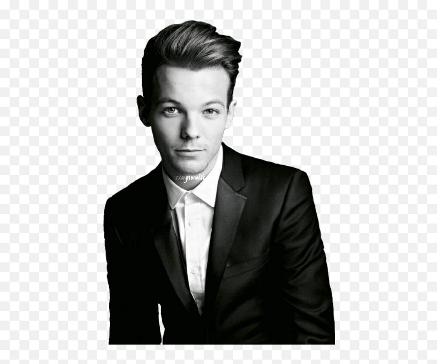 Download Louis One Direction Black And White Png Image With - Harry Styles Liam Payne Louis Tomlinson Niall Horan Zayn Malik 2018,One Direction Png