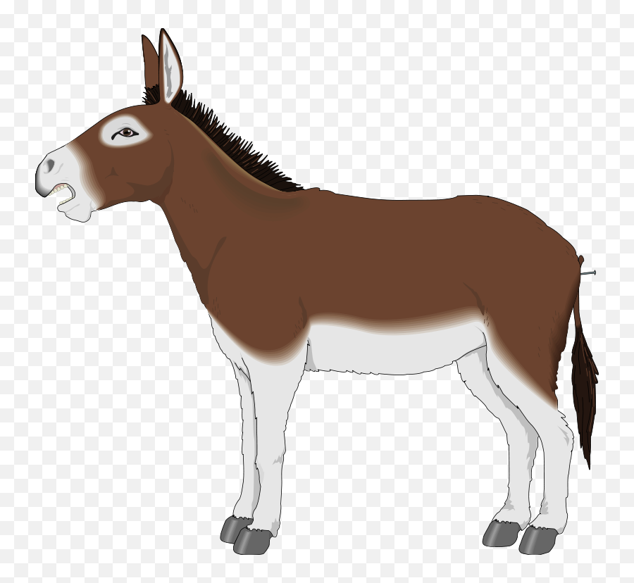 Png Mule Transparent Mulepng Images Pluspng - Cartoon Donkey Clipart,Donkey Png