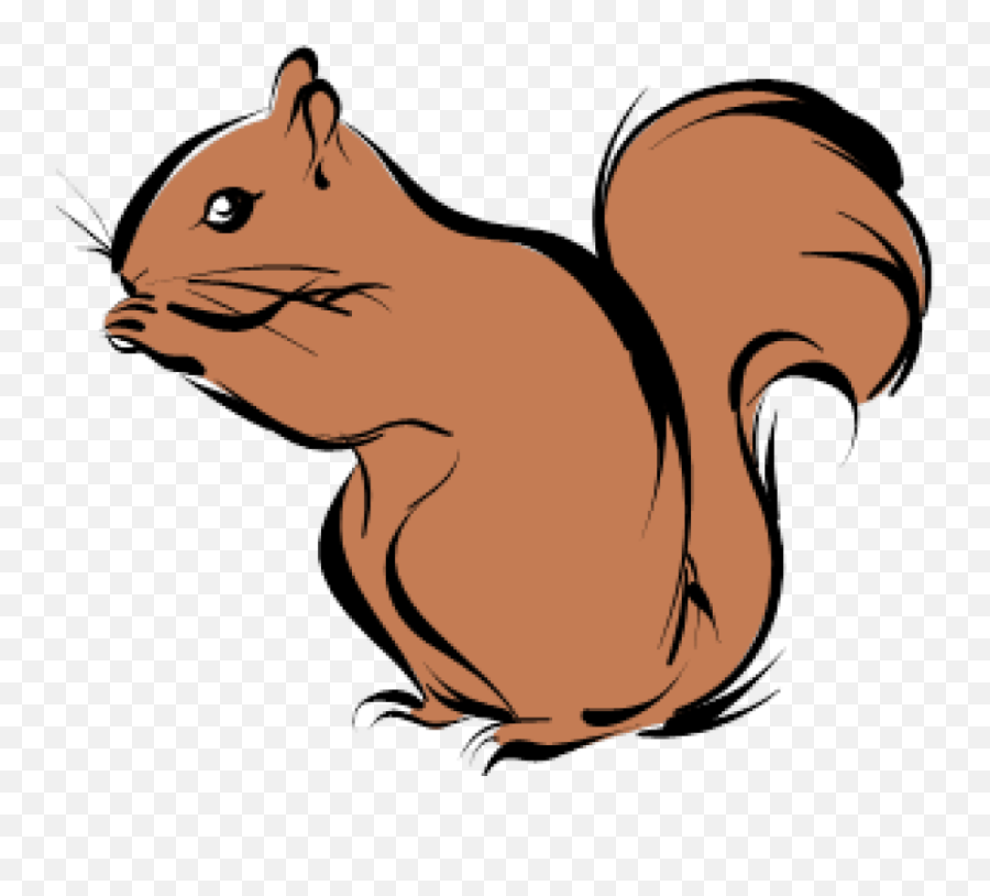 Cartoon Squirrel Png Transparent Group - Ecmaiou003c,Squirrel Transparent Background