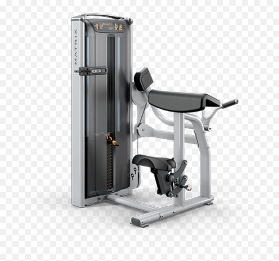 Bicep Curl - Single Station Matrix Fitness United States Matrix Versa Bicep Curl Png,Bicep Png