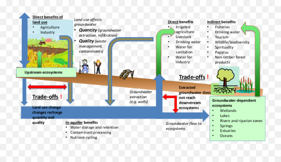 Download Conceptual Diagram Of The - Ecosystem And Ecosystem Services Diagrams Png,Ecosystem Png