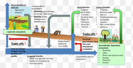 Download Conceptual Diagram Of The - Ecosystem And Ecosystem Services Diagrams Png,Ecosystem Png