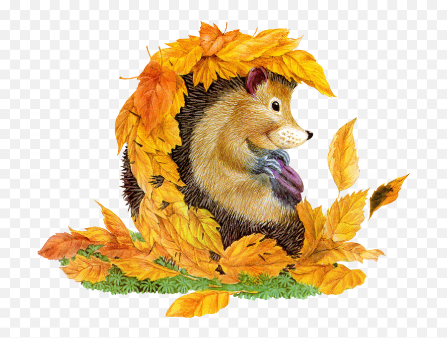 Autumn Hedgehog Psd Official Psds - Cartoon Animals Png,Hedgehog Transparent