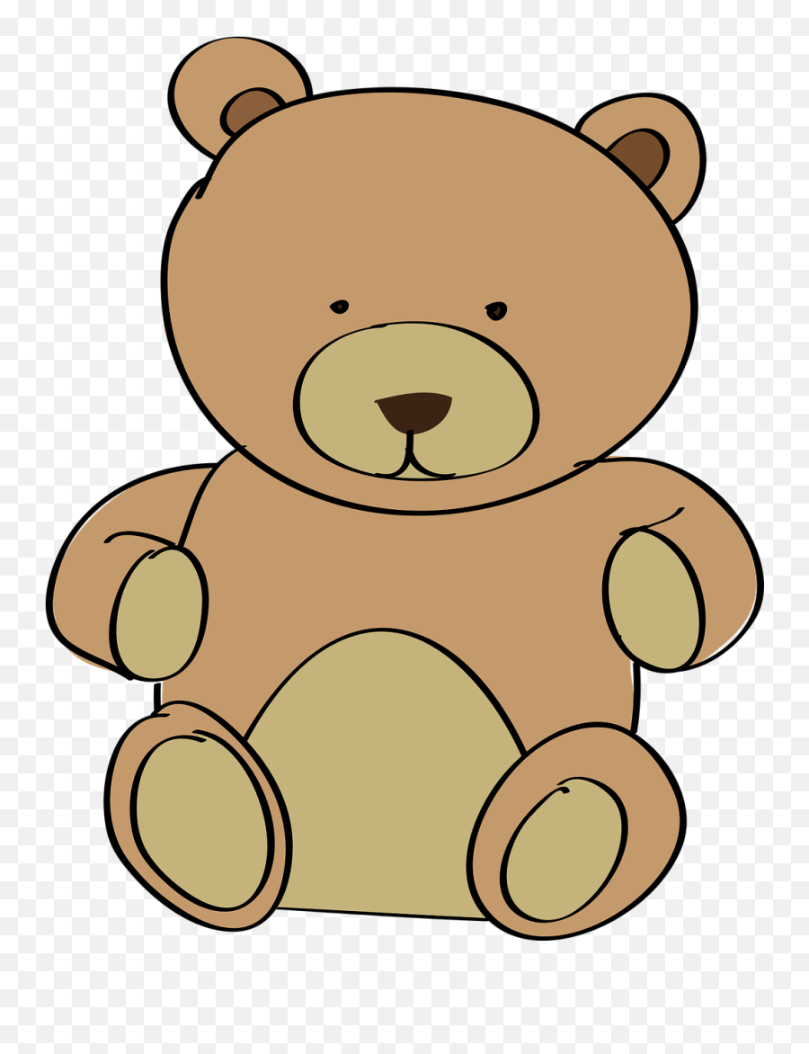 Download Hd Teddy Bear Png - Bear Cartoon Coloring Pages Ayicik Png,Cartoon Bear Png
