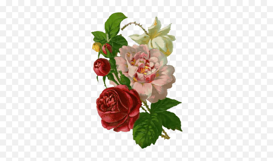 30 Vintage Roses For Scrap Rose Png - Vintage Painted Flower Png,Vintage Rose Png