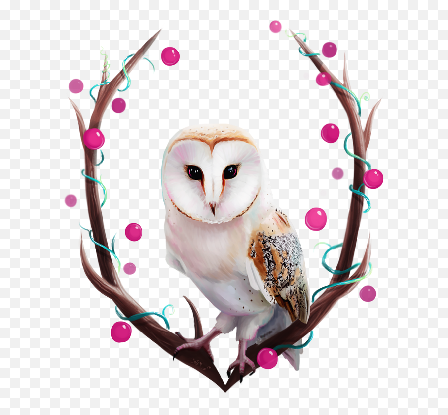 Download Owl By Tanya Bosyk Paper - Barn Owl Png,Barn Owl Icon