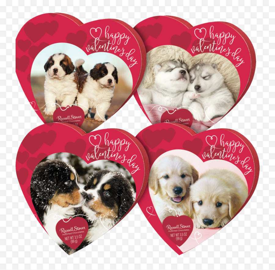 Russell Stover Assorted Chocolates In Design Pet Hearts 35 Oz - Walmartcom Dog Valentines Day Chocolate Png,Puppy Love Icon