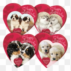 Russell Stover Assorted Chocolates In Design Pet Hearts 35 Oz - Walmartcom Dog Valentines Day Chocolate Png,Puppy Love Icon