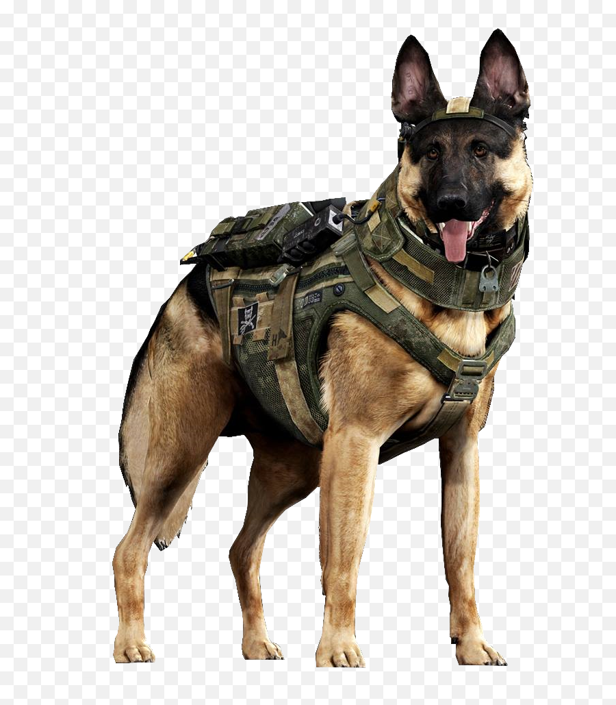 Riley Ghosts Call Of Duty Wiki Fandom - Police German Shepherd Png,Icon Stryker Elbow Guards