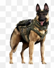 Riley Ghosts Call Of Duty Wiki Fandom - Police German Shepherd Png