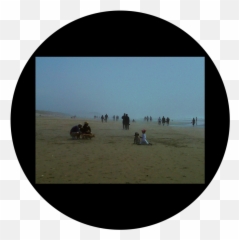 D Antonakos - Foggy Beach Apollo Design Singing Sand png