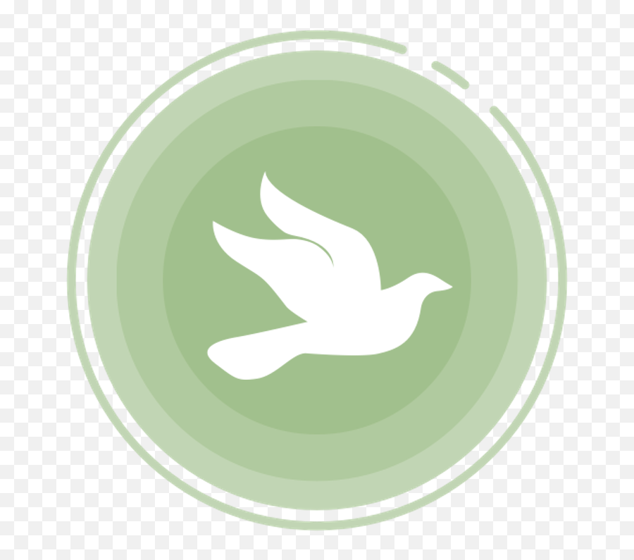 Winter Worship Faqs - Ascension Lutheran Church Pombo De Oxala Desenho Png,Safe Place Icon