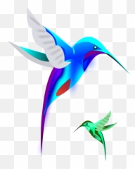 Birdpng Png Humming Bird