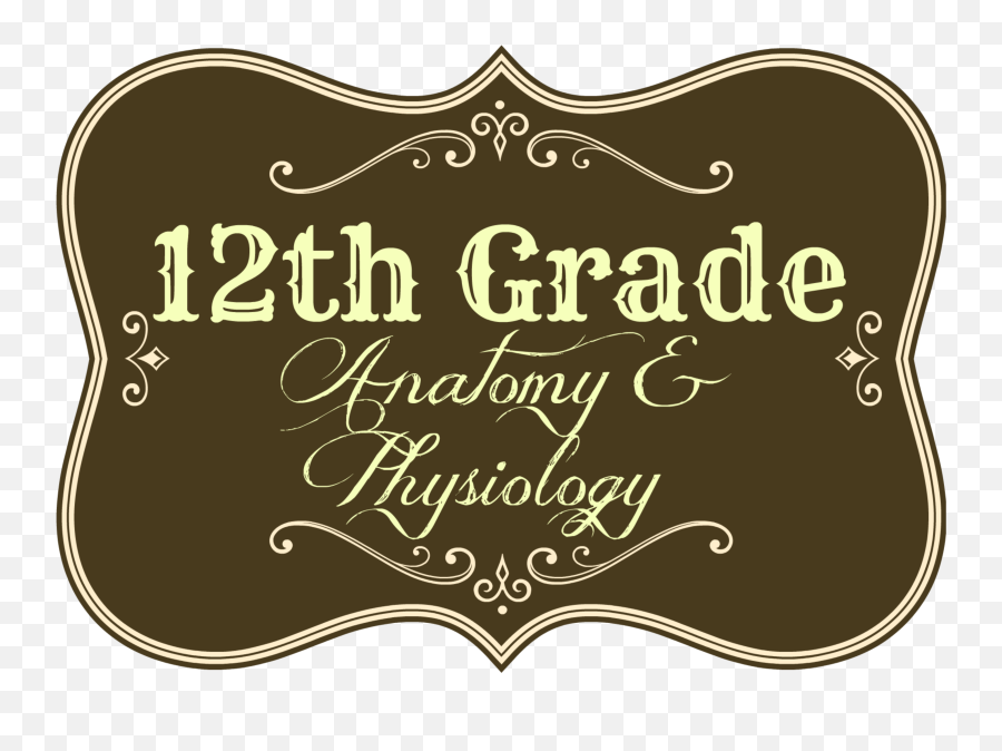 12th Grade Anatomy And Physiology Text Images Music - Lakeshore Png,Grade Icon