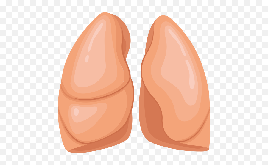 Lung Vector Icons Free Download In Svg Png Format - Language,Lung Icon
