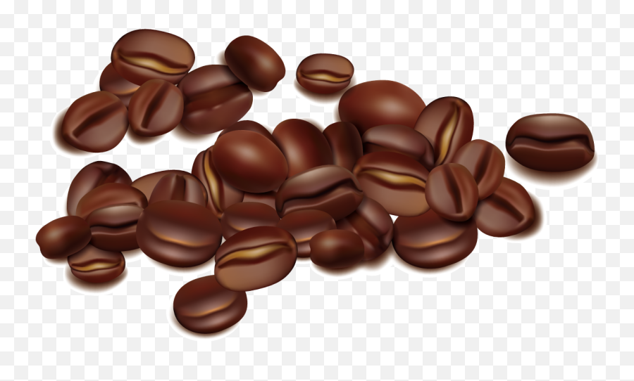 Coffee Bean Seed - Transparent Coffee Beans Vector Png,Coffee Beans Transparent
